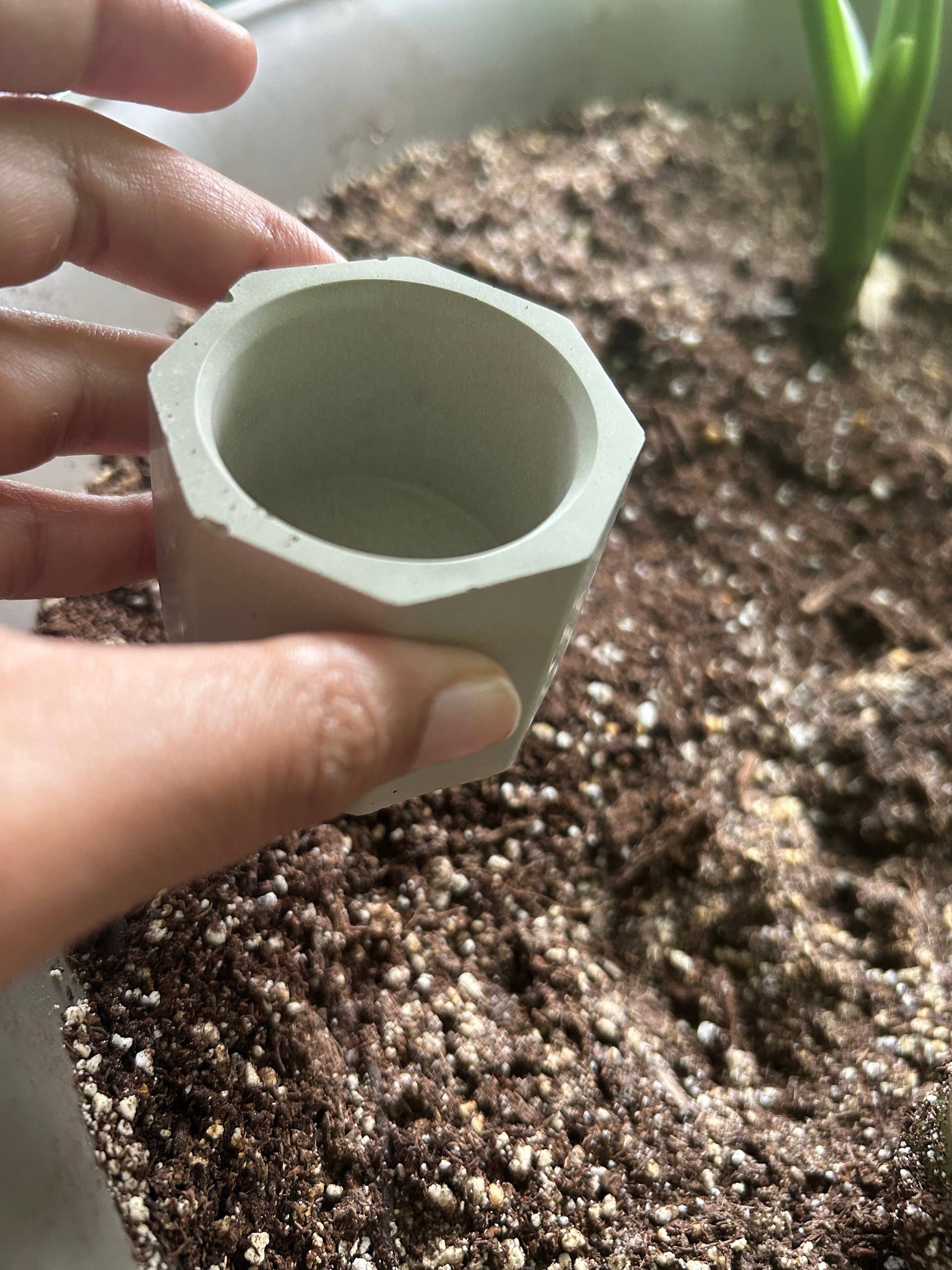 plantventionsLLC - Wholesale Plant Pot - Mini cement plant pots with drainage holes