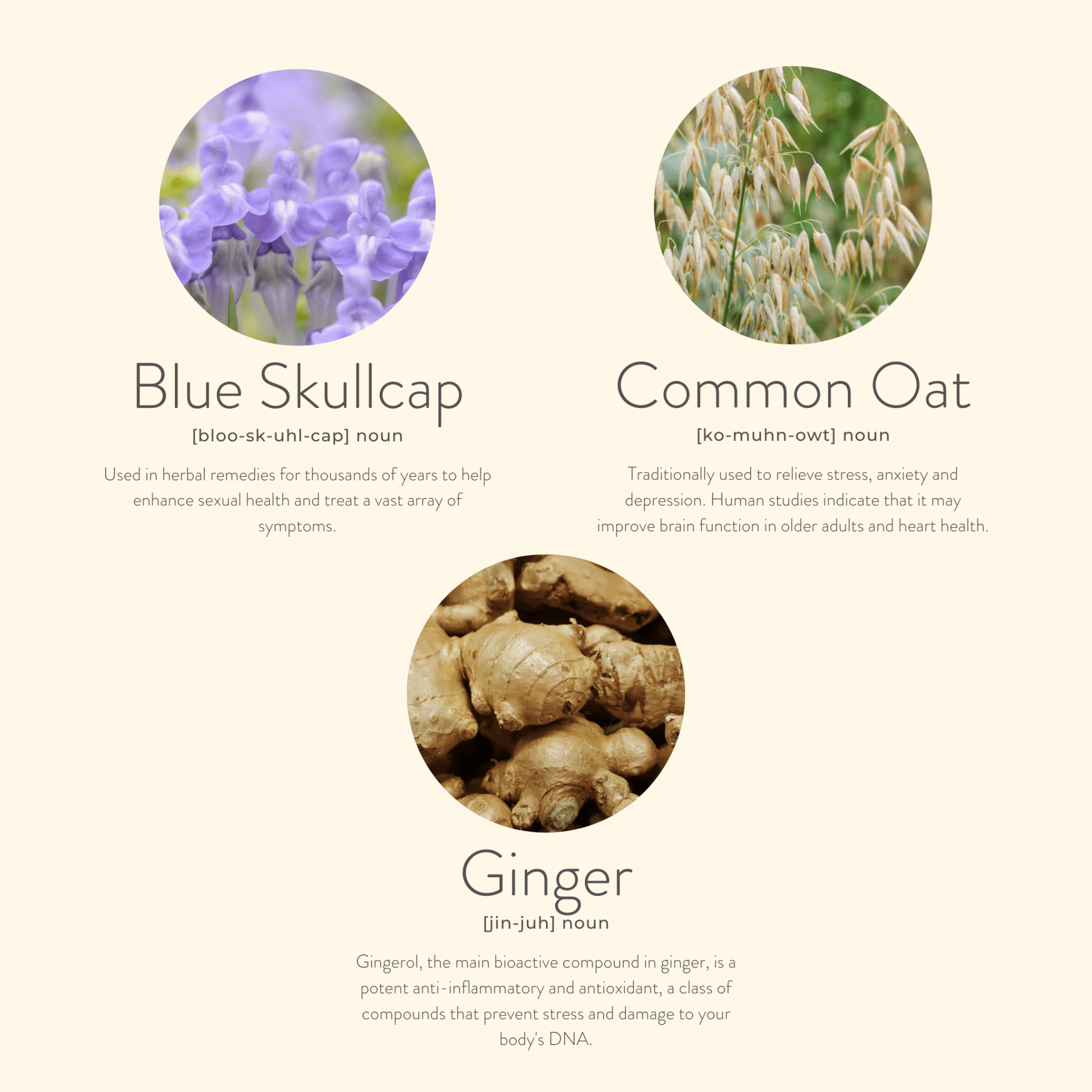 KLORIS – wholesale Topical wellness patches – Menopause Balance Patches – Natural Daily Relief 30 Day Pack4