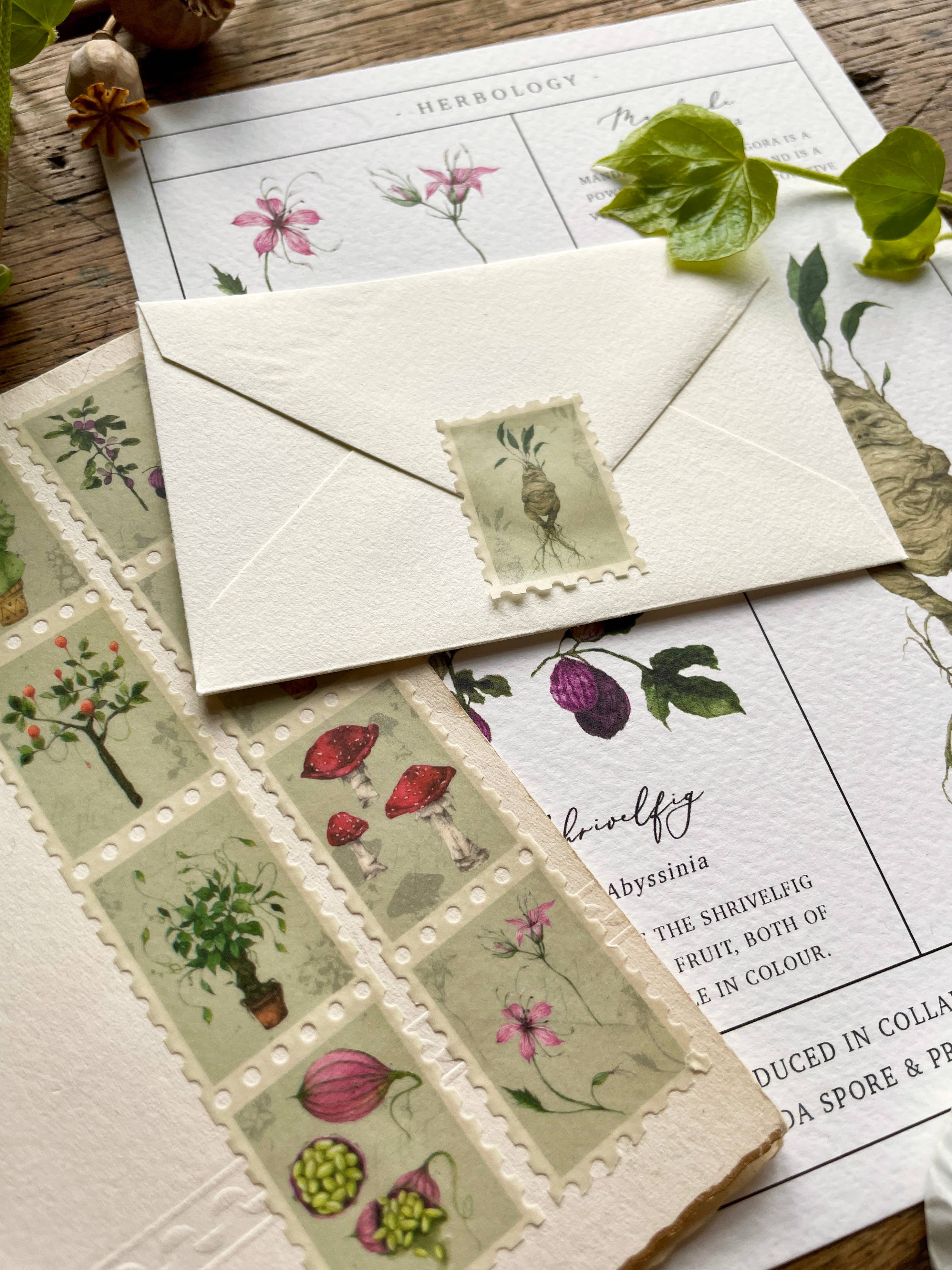 Georgiou Draws - Wholesale Washi Tape - Magical Botanical Herbology Stamp Washi Tape5