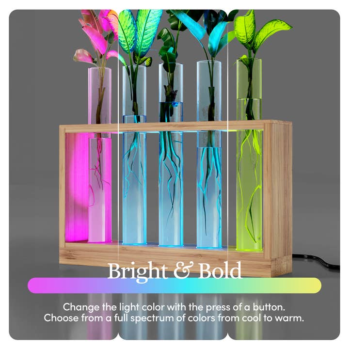Planter's Choice - Wholesale Live Plant - Light Up Bamboo Vial Air Planter
