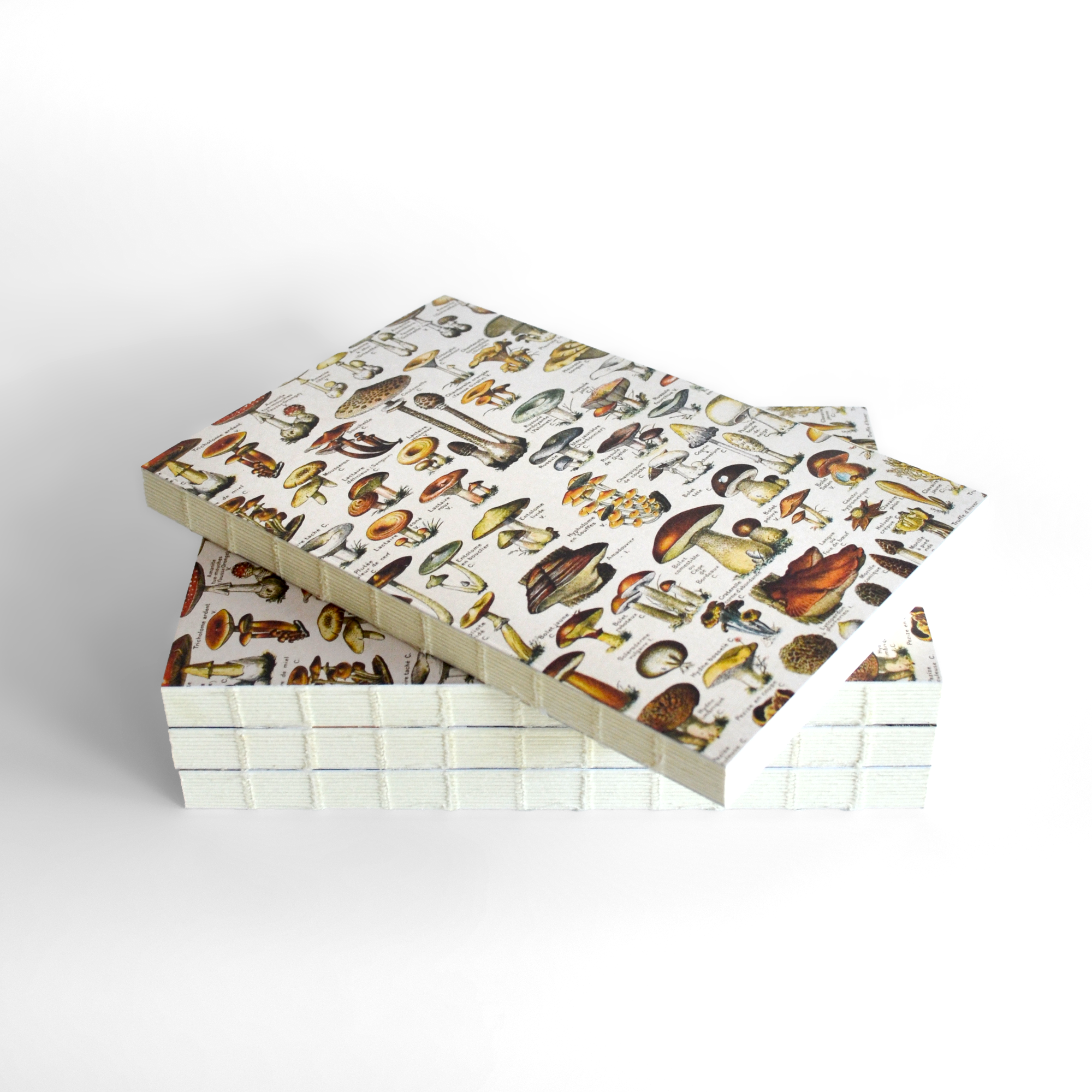 Curious Prints - Venta al por mayor Cuadernos - Cuaderno Vintage de Encuadernación Copta con Diseño de Hongos en Tono Tan4