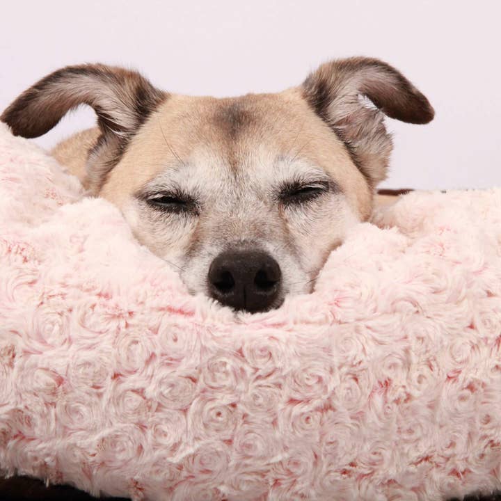 StyleSnout - Vendita all'ingrosso Letto - Cani - Serpente da sonno - Regalo - anche per il letto del cane