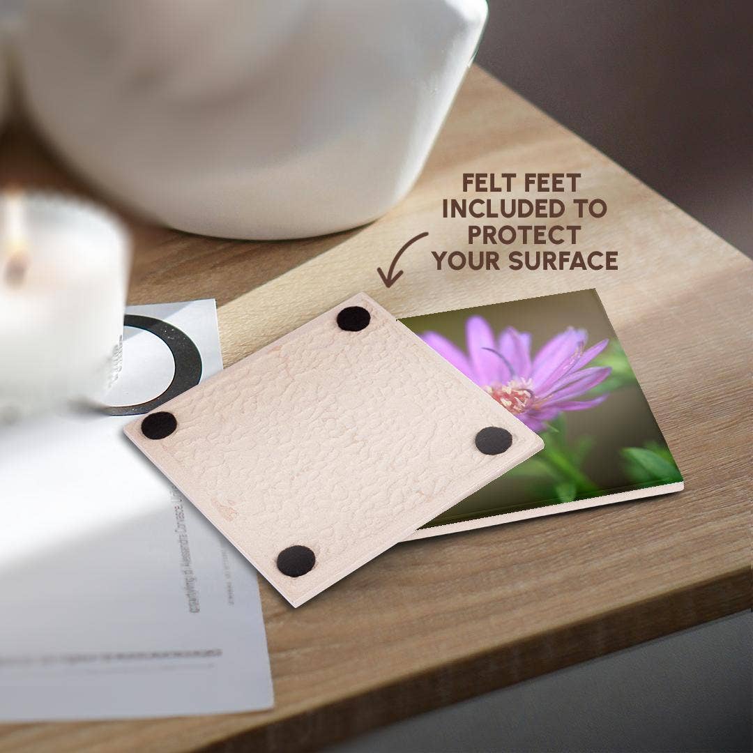 3dRose - Wholesale Coasters - 3dRose, A macro photograph of a single purple aster flower., Coaster3