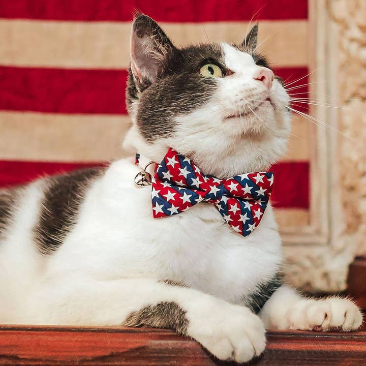 Made By Cleo - Wholesale Pet Collar - Cat - "Americana" - 4th of July Cat Collar