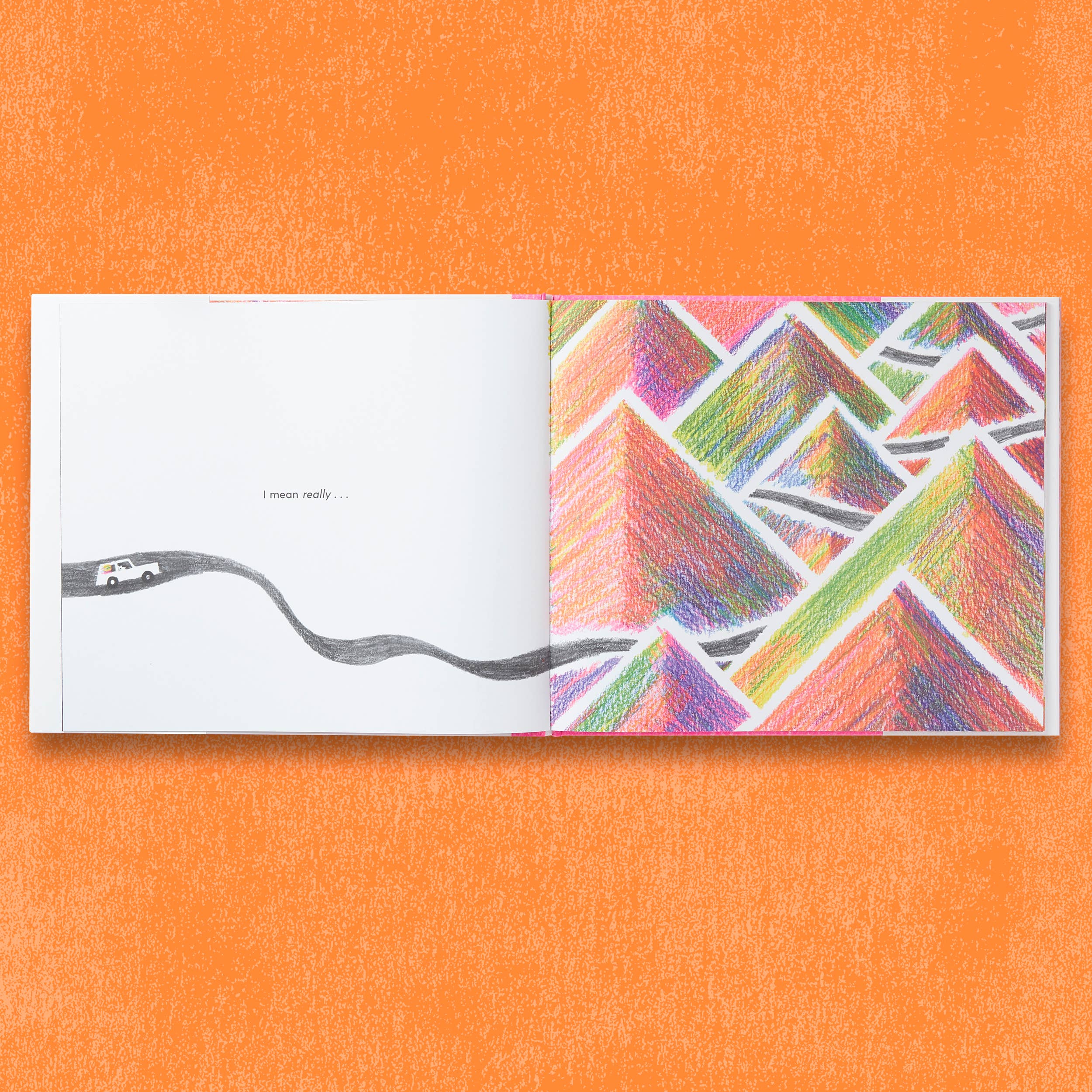 Chronicle Books - Wholesale Preschool Book (3-5) - Have You Ever Seen a Flower?11