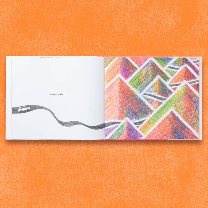 Chronicle Books - Wholesale Preschool Book (3-5) - Have You Ever Seen a Flower?11