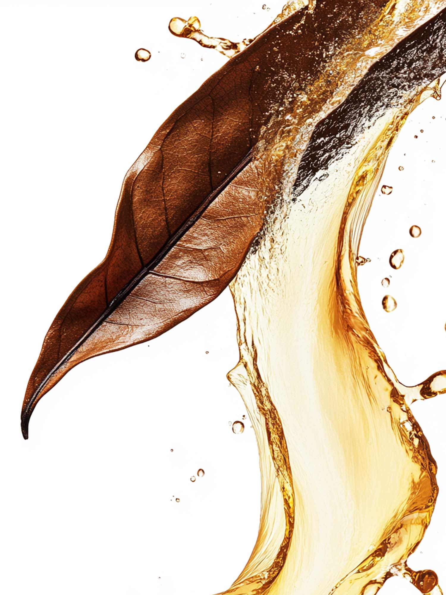 Laay – Großhandel Reed-Diffusor – RAUMDUFT TOBACCO NOIR 250ML1