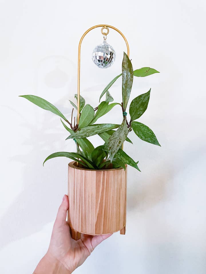 Disco Arch for wholesale by Sarah and Hareld