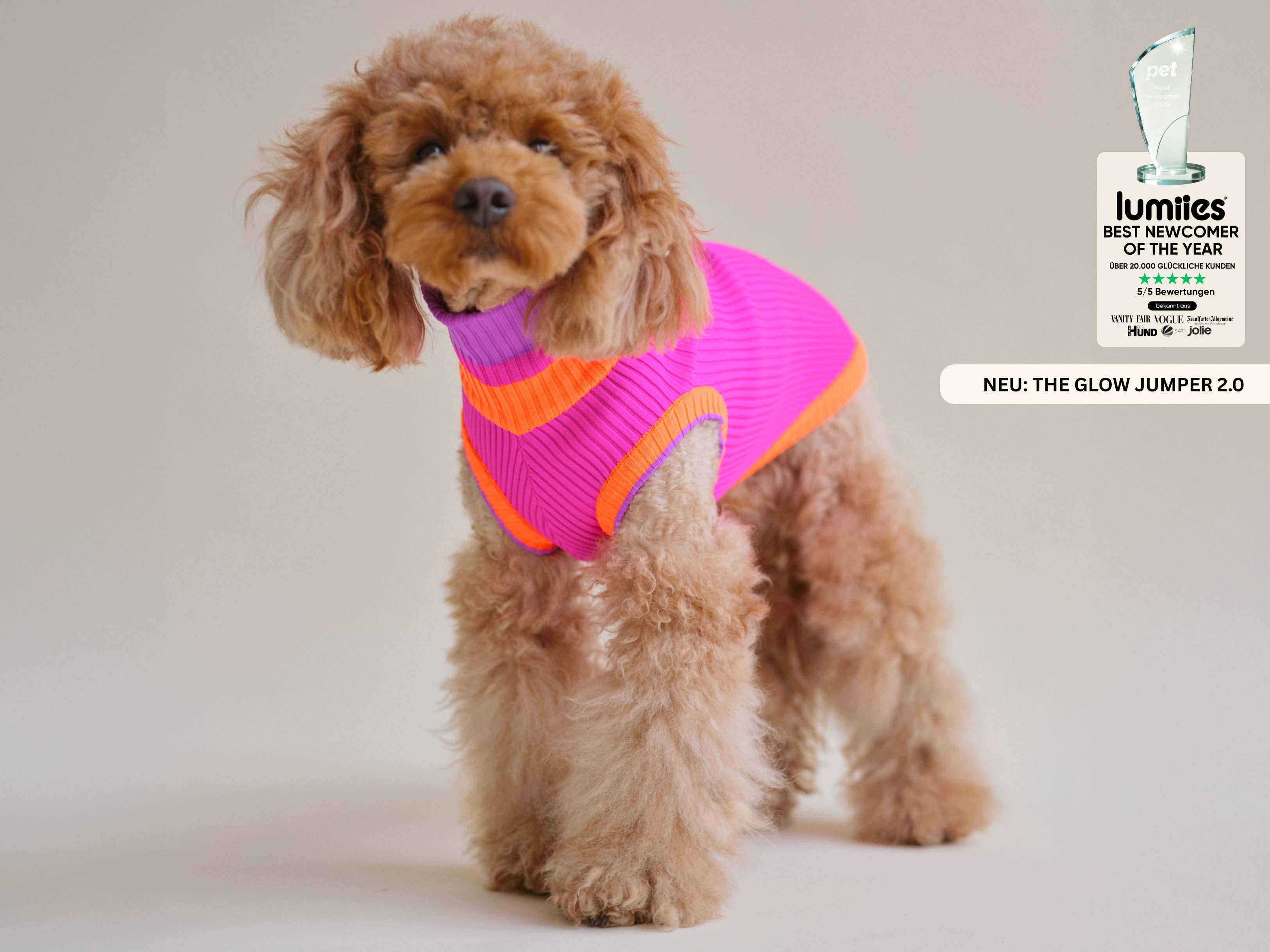 Elektrischer Sonnenuntergang THE GLOW JUMPER 2.0 (Electric Sunset) for wholesale on Faire