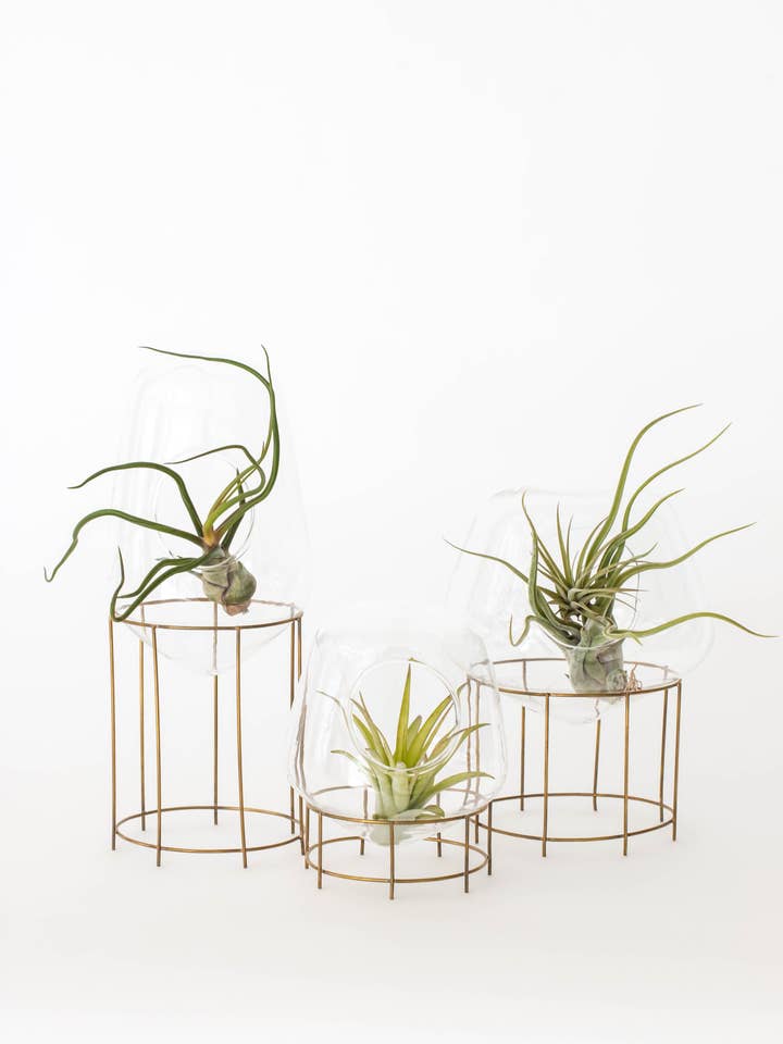 Mini Terrário por atacado de Gathered Home