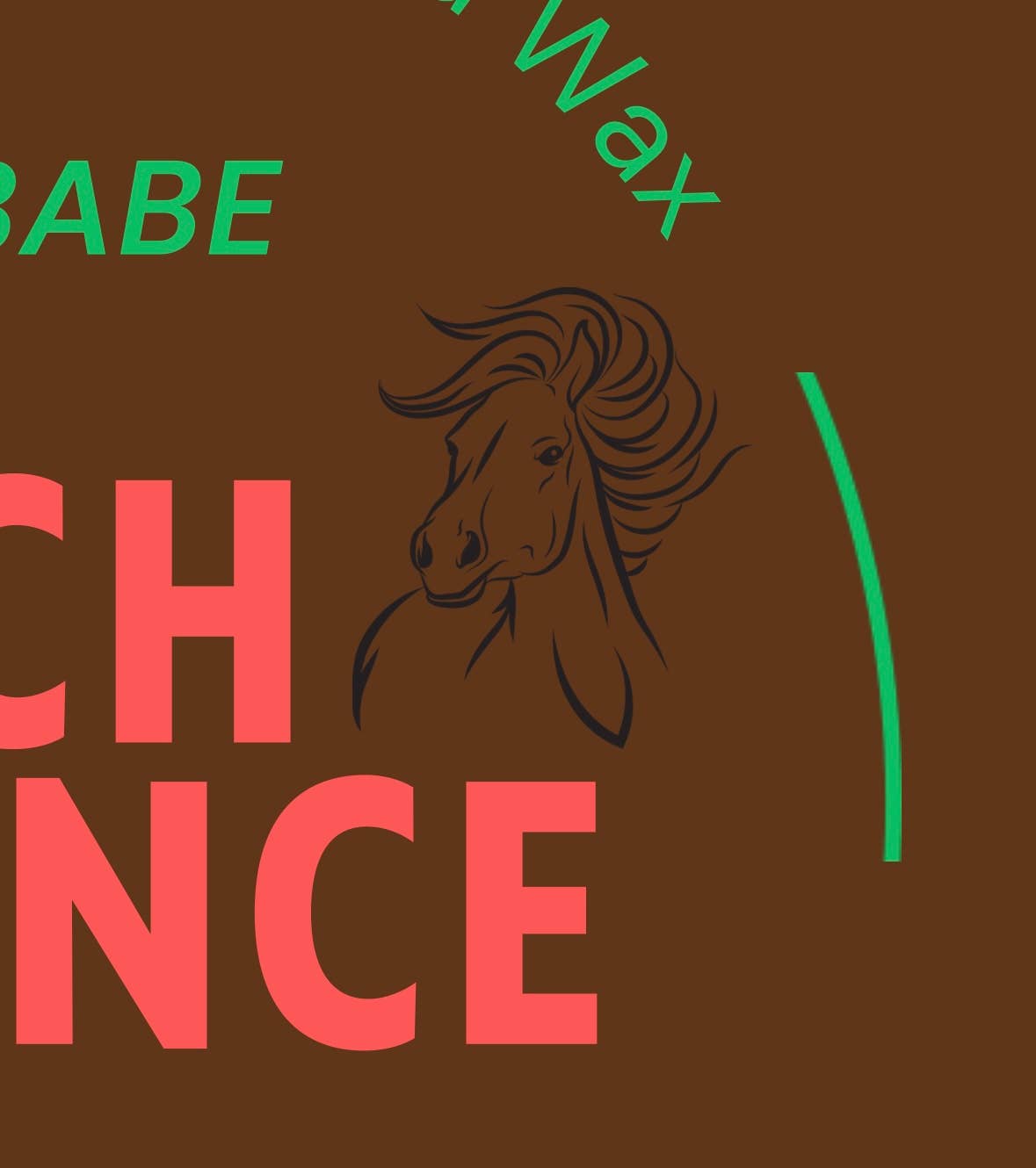 Cloudy Babe - Wholesale Jar/Filled Candle - Ranch Romance Wood Wick Candle 6 oz4