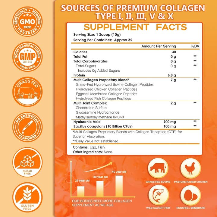Nature Target - Wholesale Protein/Superfood Powder - NATURE TARGET Multi-Collagen-Peptides-Powder for Joint Support