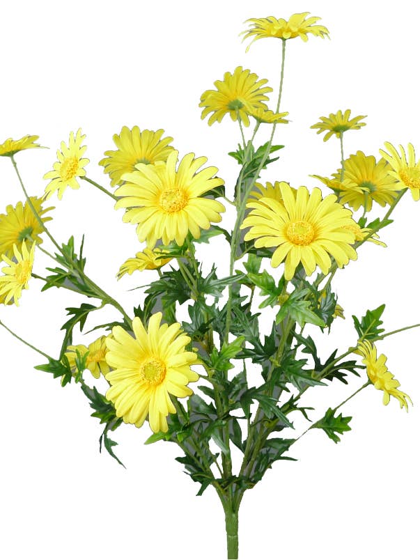 Yellow Daisy Bush X5, 25H - 62417YW for wholesale by General Wholesale Inc