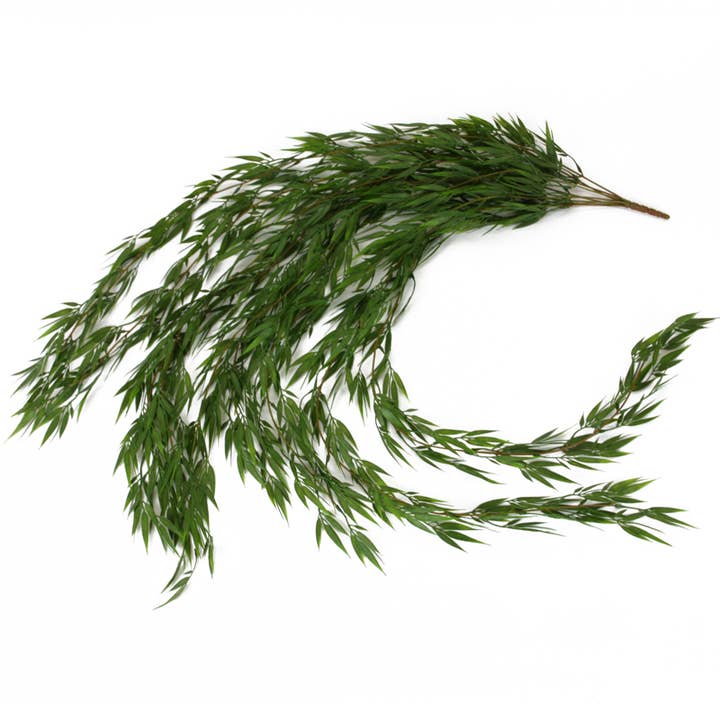 Bamboo hanging plant 115 cm green for wholesale by Floratexx