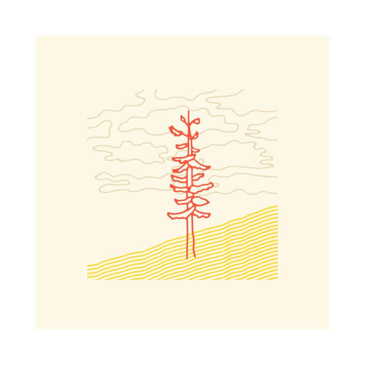 Lone Pine for wholesale by Here Studio