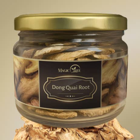 Dong Quai-rødder for engroshandel hos MagicTree Superfoods