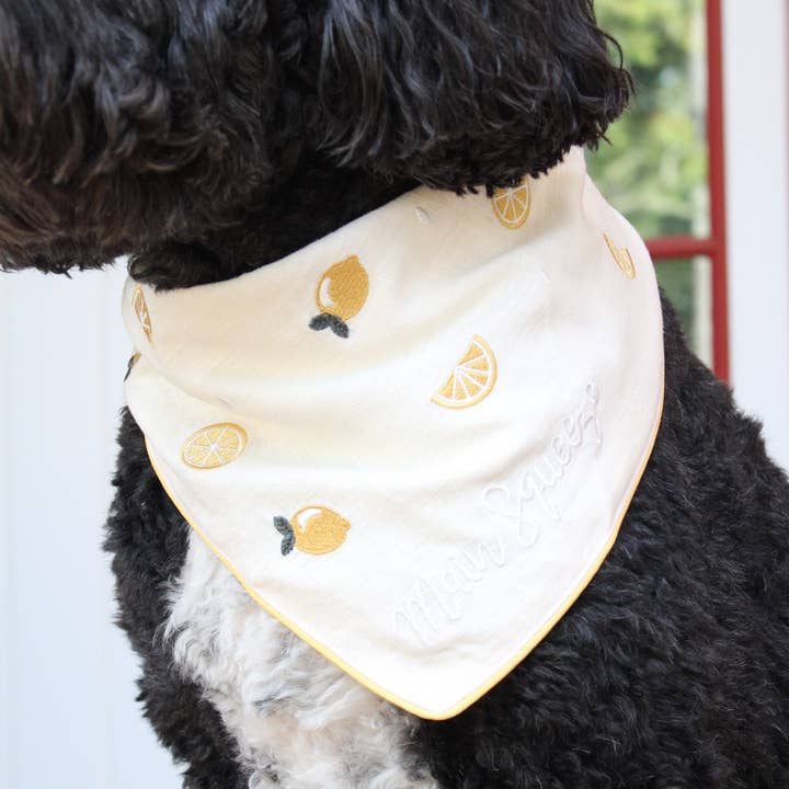 Two Tails Pet Company - Wholesale Pet Bandana - Dog - Main Squeeze Dog Bandana2