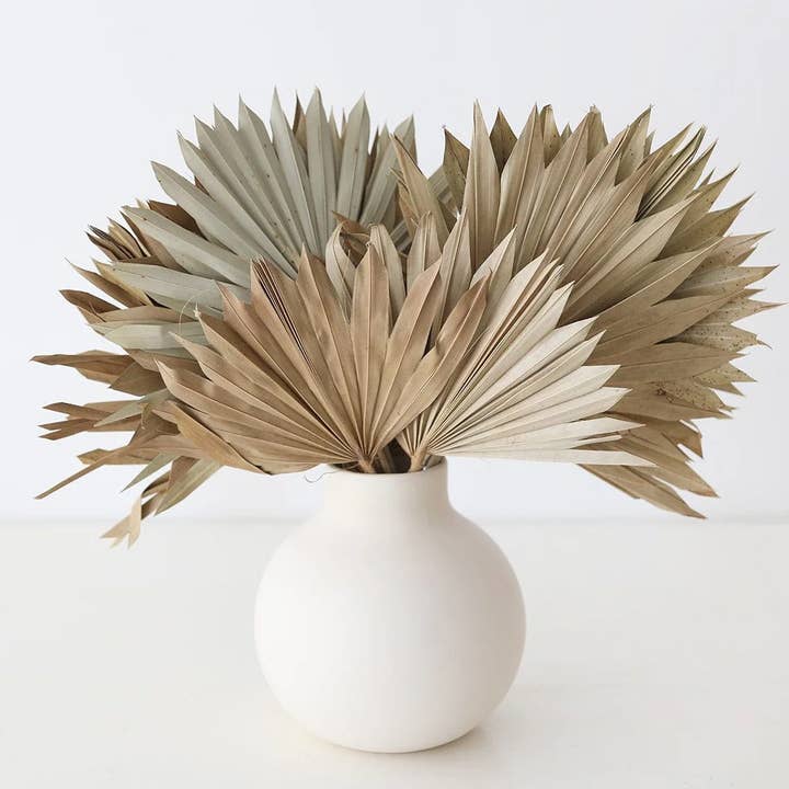 Afloral - Wholesale Dried/Pressed Flowers - Bundle of 5 Afloral Natural Sun Palms - 14-20"