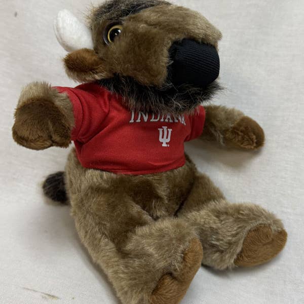 Mascotte en peluche Indiana Hoosiers 8" pour la vente par Turnovers Inc