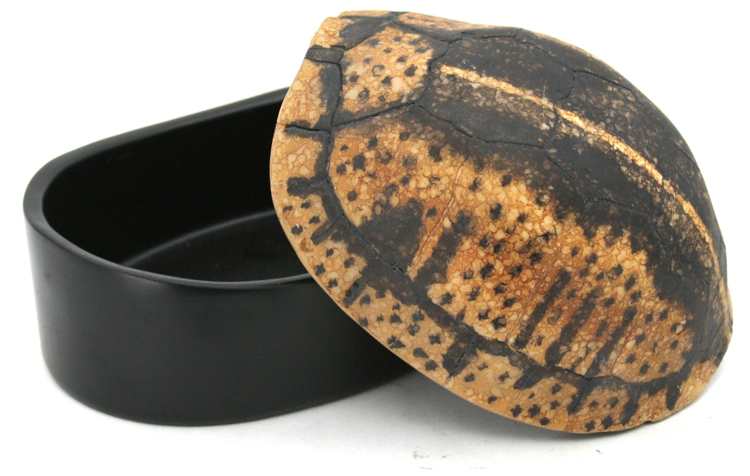 Modern World by Contrast Inc. - Wholesale Decorative Box - Yellow Black Turtle Shell Box4