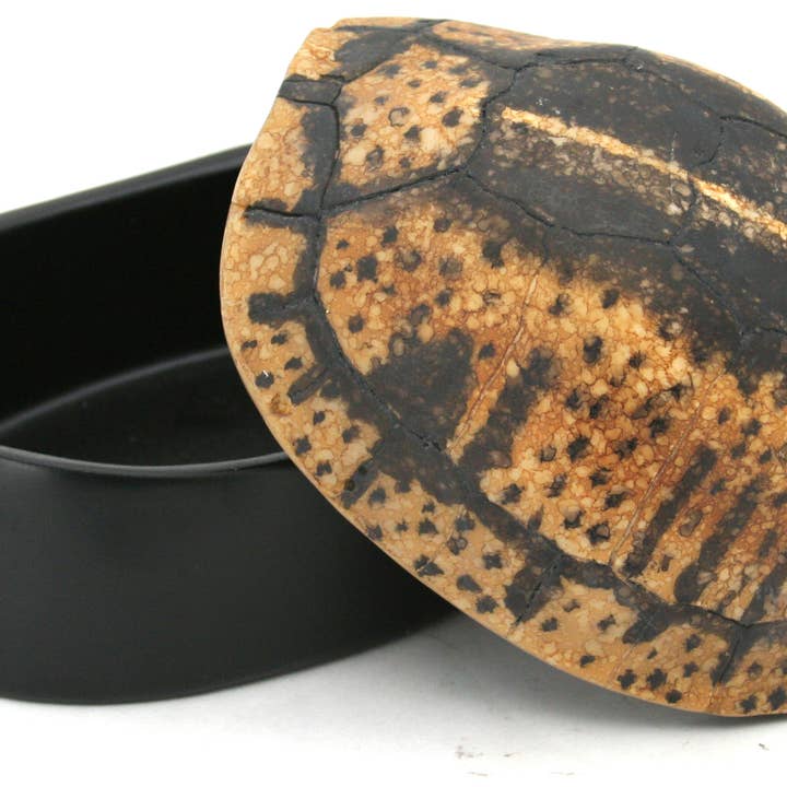 Modern World by Contrast Inc. - Wholesale Decorative Box - Yellow Black Turtle Shell Box4