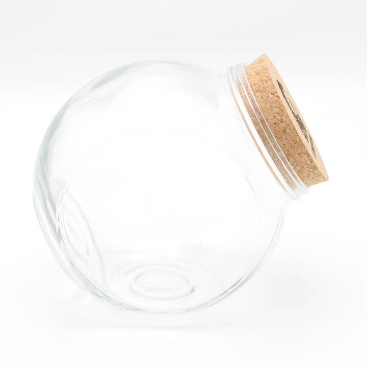 LAMAZUNA - Wholesale Jar - Bulk offer: empty jars for a successful experience!4