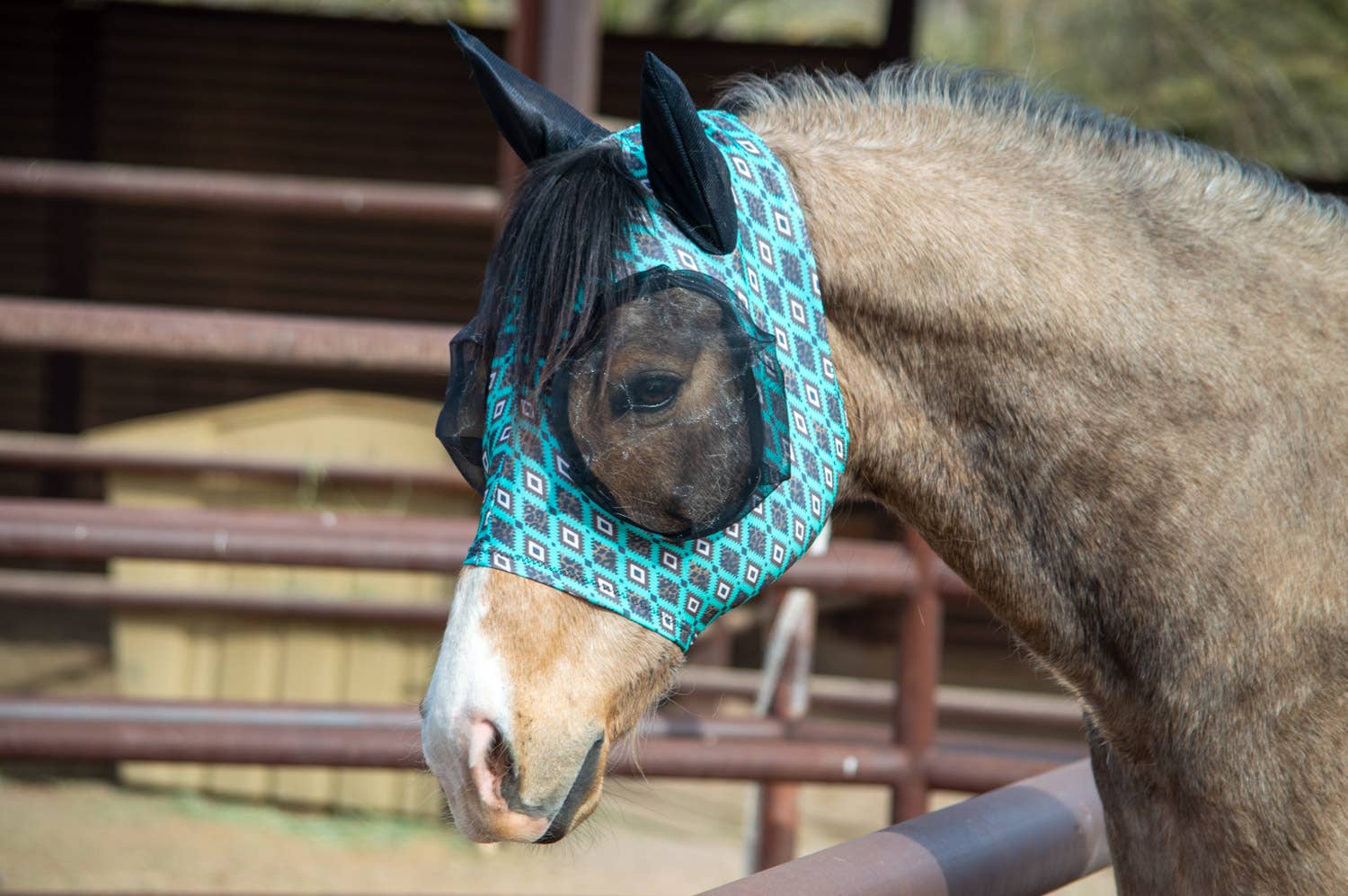 Schulz Equine - Wholesale Horseback Riding Gear - Lycra Fly Mask23