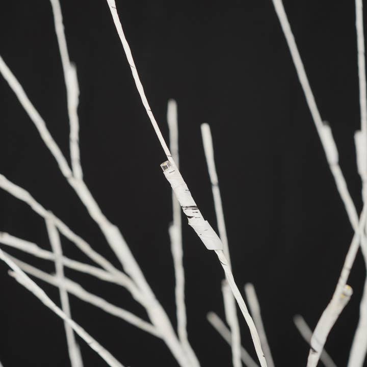 Lighted Birch Tree Set 4Feet-6 Feet With Warm White LEDs for wholesale on Faire18