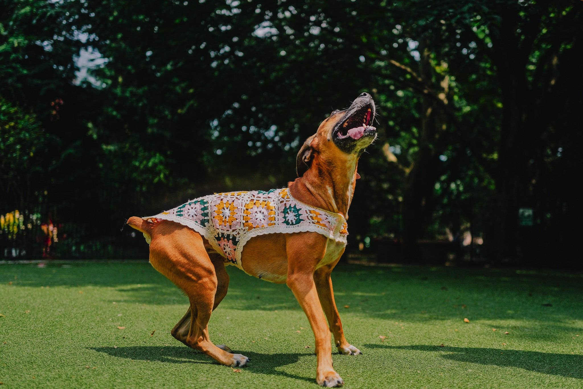 Both Tails - Wholesale Pet Shirt - Dog - Bubblegum Crochet Dog Top5