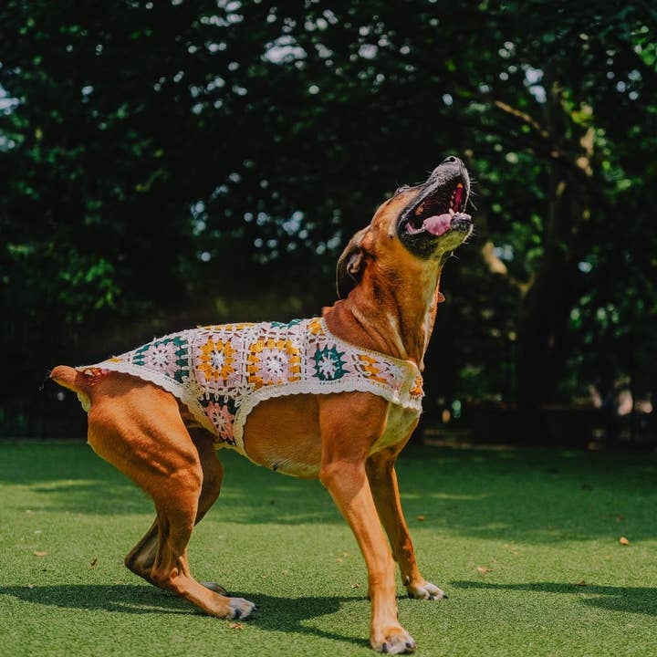 Both Tails - Wholesale Pet Shirt - Dog - Bubblegum Crochet Dog Top5