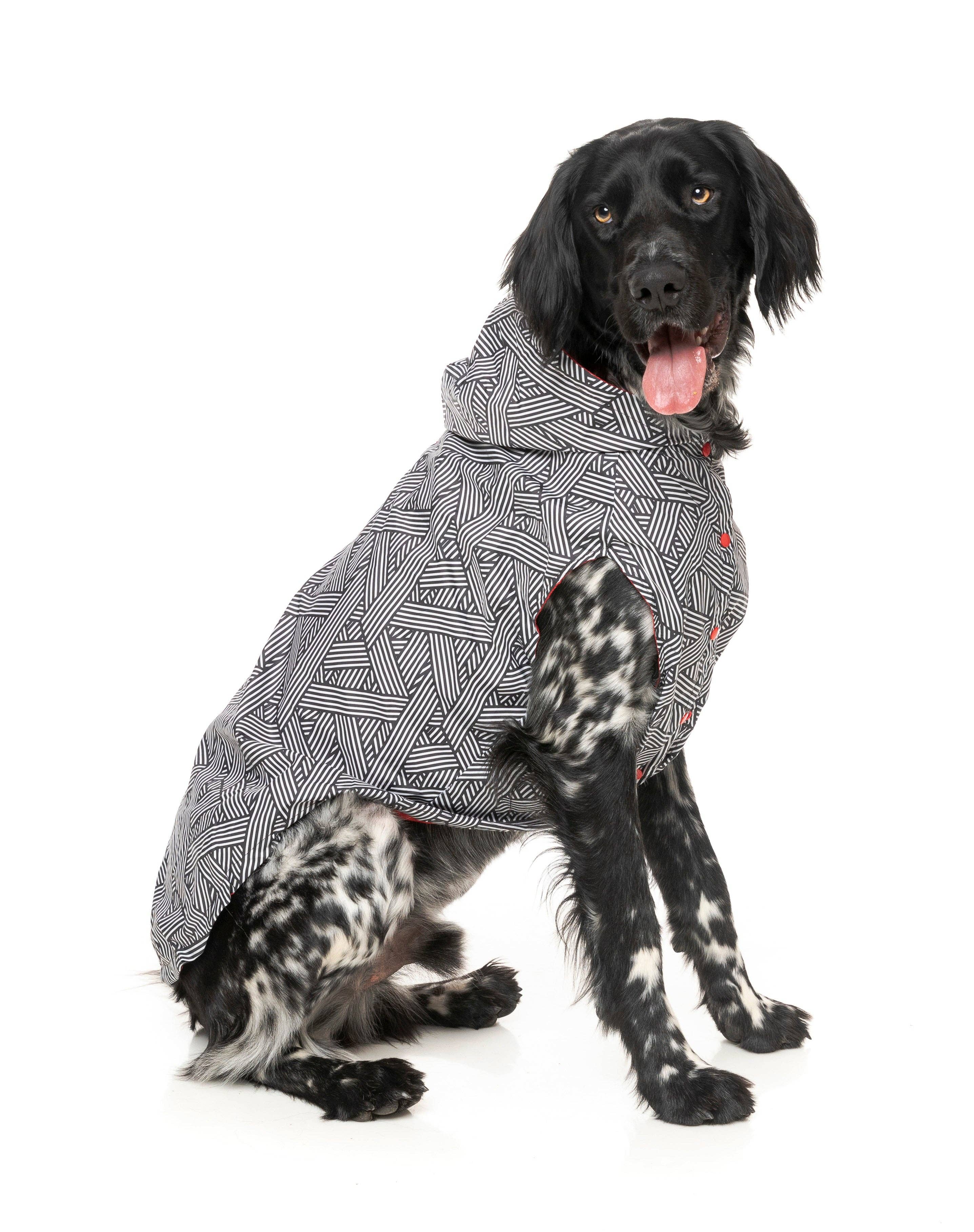 In Vogue Pets – wholesale Pet raincoat – Dog – Flipside Raincoat - Red/Black/White3