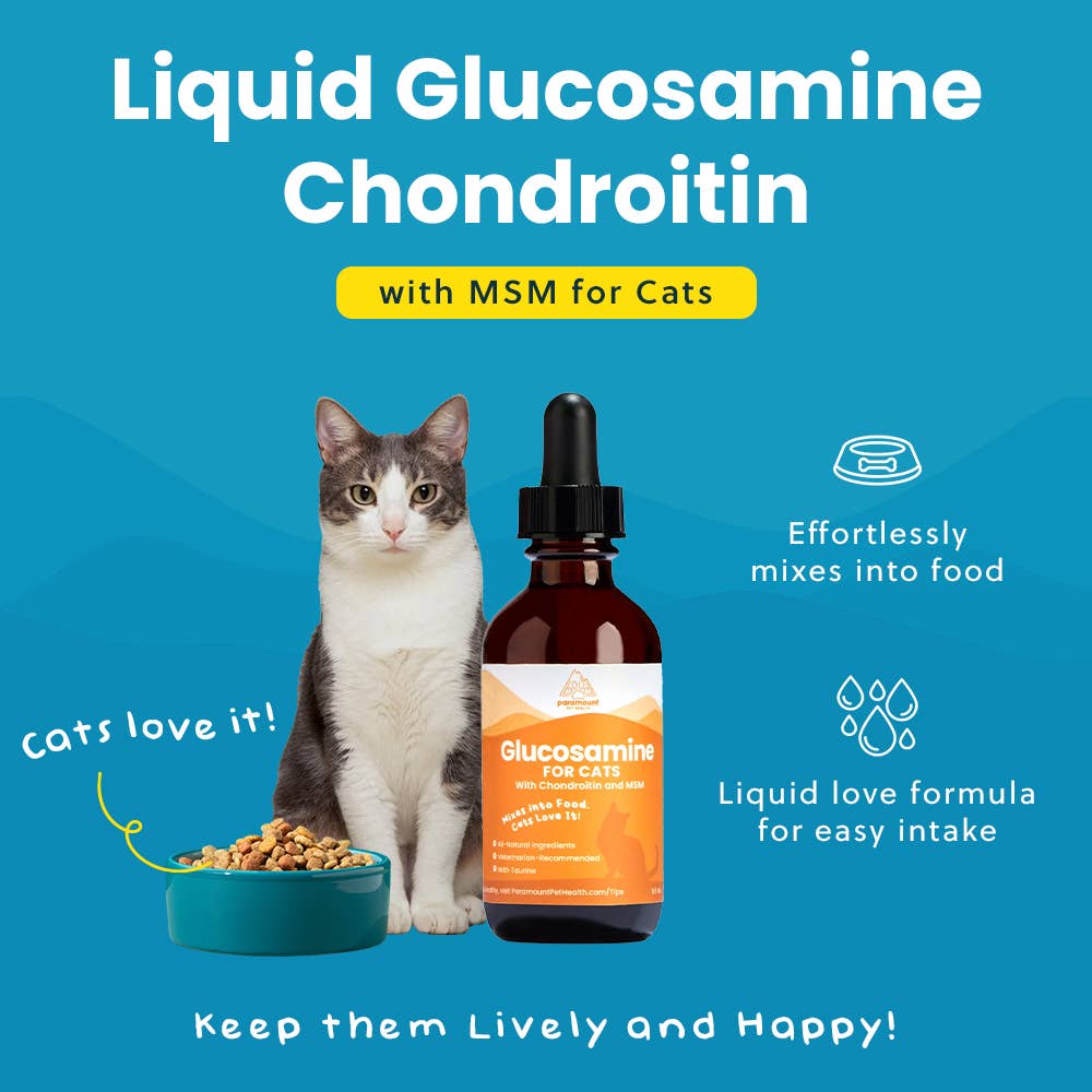 Paramount Pet Health - Wholesale Pet Supplement - Cat - Liquid Glucosamine For Cats7