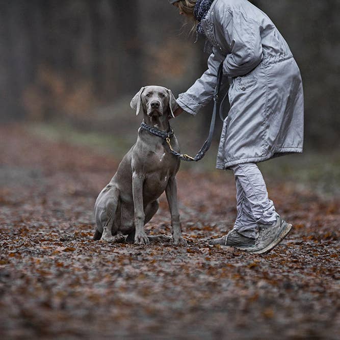 ammi for Dogs - Wholesale Pet Leash - Dog - 3-way adjustable leather leash4