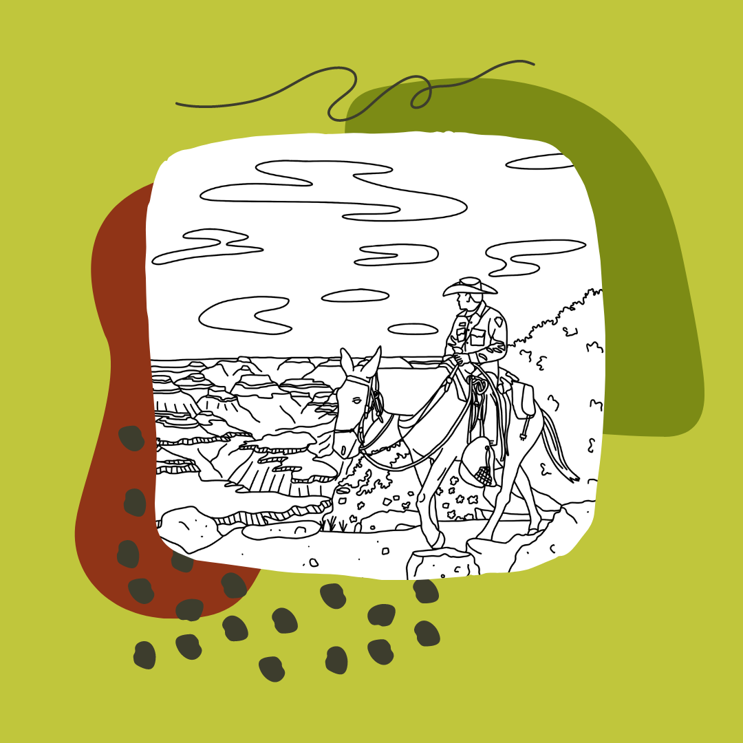 Ashley Laren Art - Wholesale Coloring & Activity Book - Adult - National Park Coloring Book Volume I2