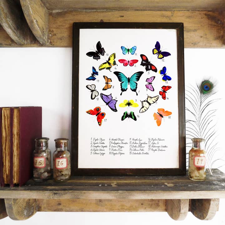 Lepidoptera Butterfly Art Print for wholesale by Bison Bindery