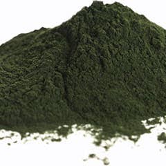 Thee Herbal Blessing - Wholesale Protein/Superfood Powder - Chlorella Powder, 1oz.