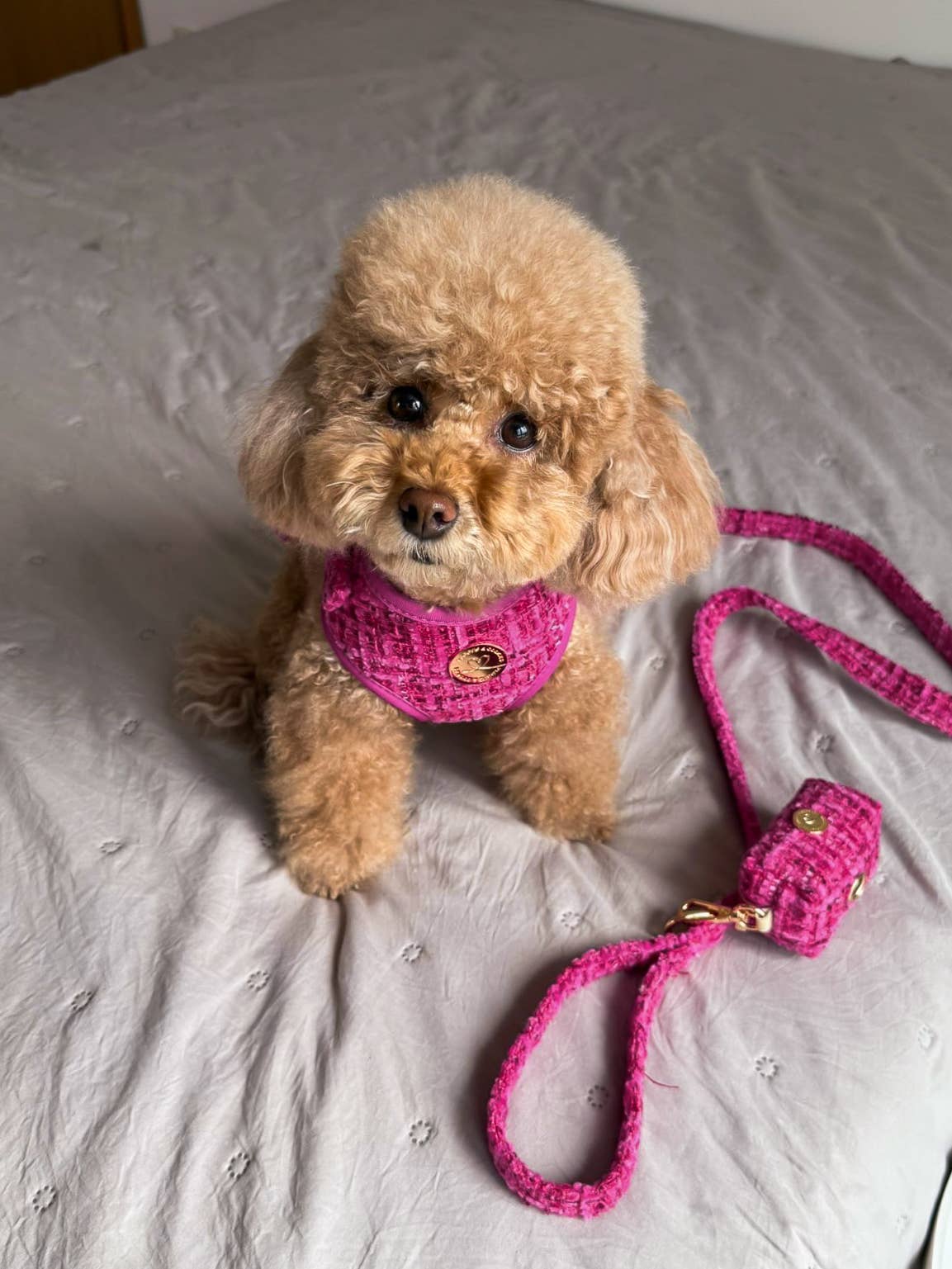 Floofs and Cookies - Wholesale Pet Harness - Dog - Chloe harness2