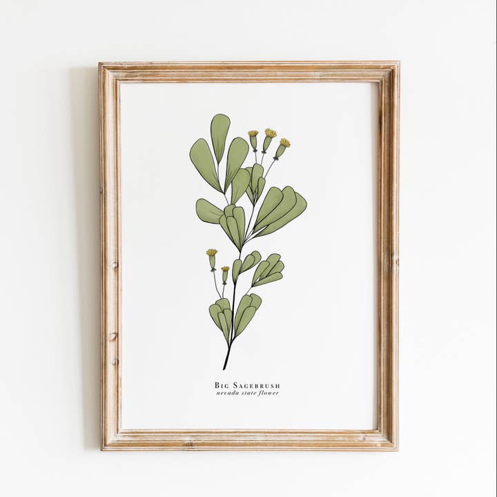 Nevada State Flower Print | Sagebrush Print for wholesale by Erika Layne Art