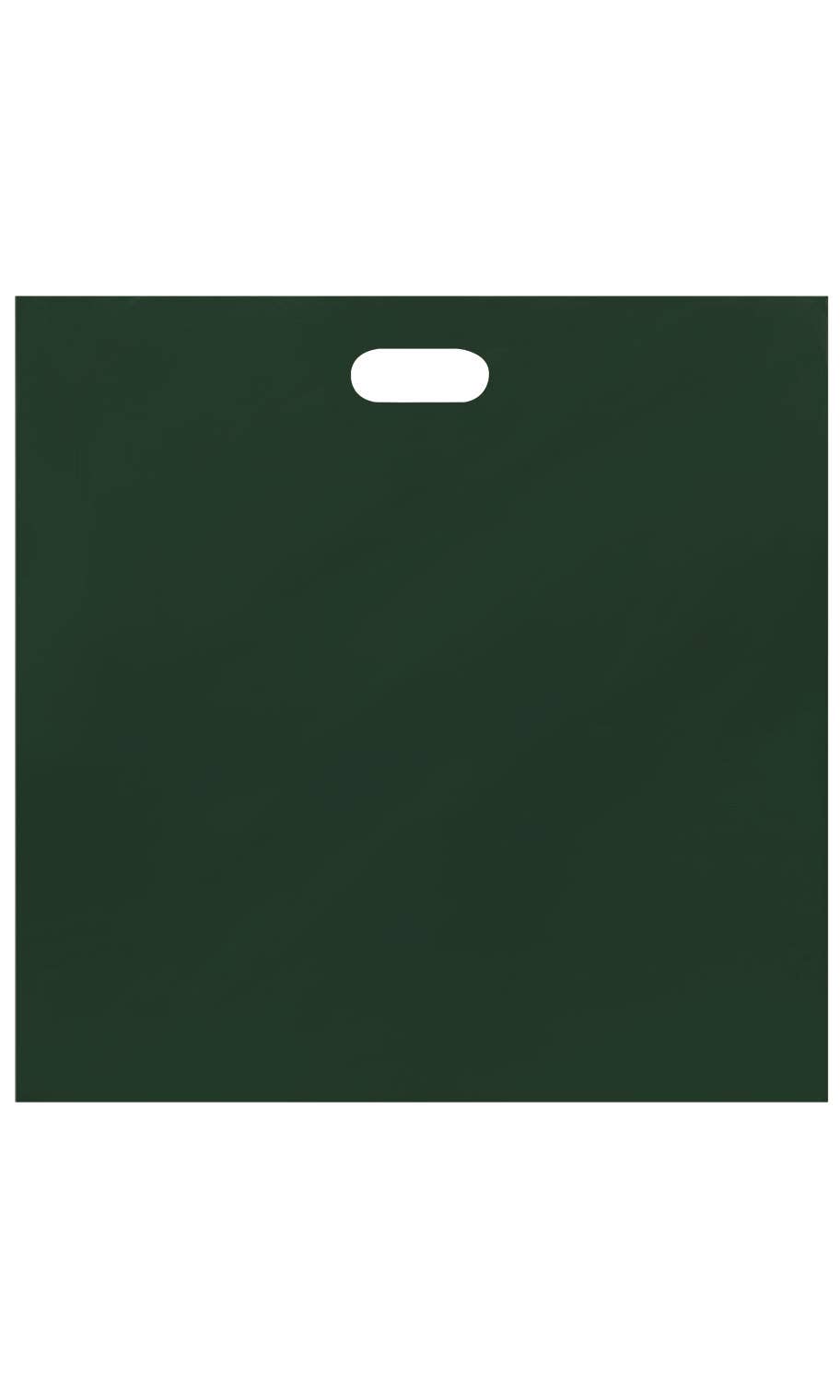 Store Supply Warehouse - Wholesale Gift Bag - Low Density Merchandise Bags18