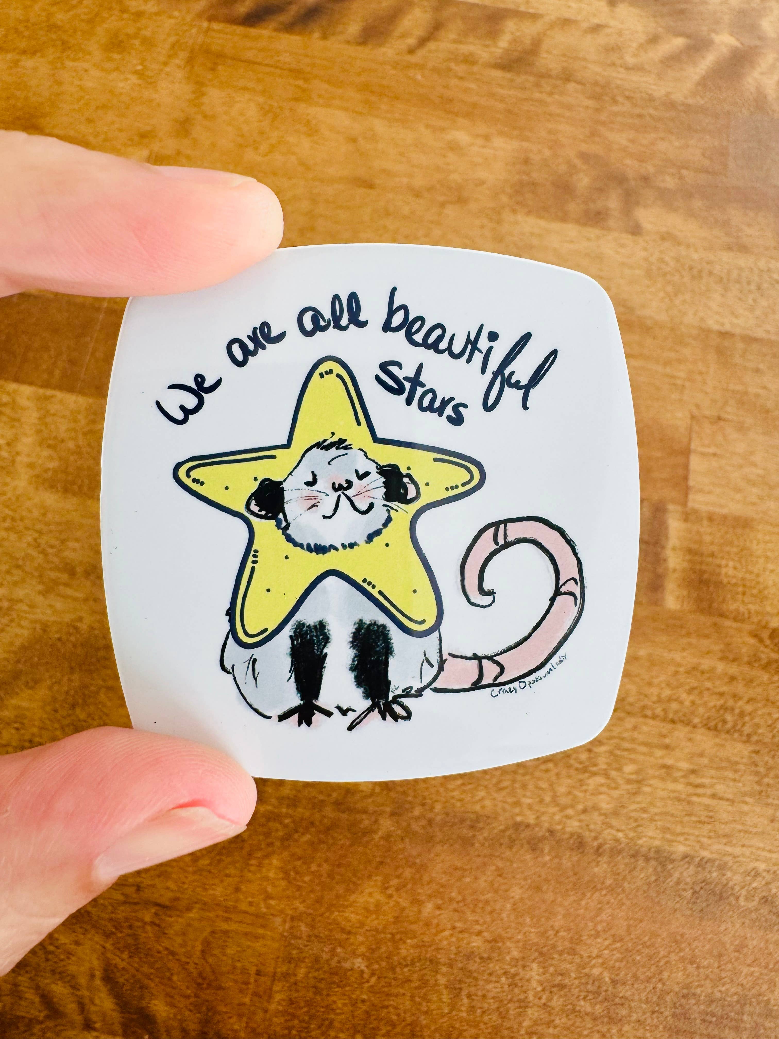 The Crazy Opossum Lady - Wholesale Magnet - Magnet Beautiful Stars Opossum Possum Gift Stocking Stuffer