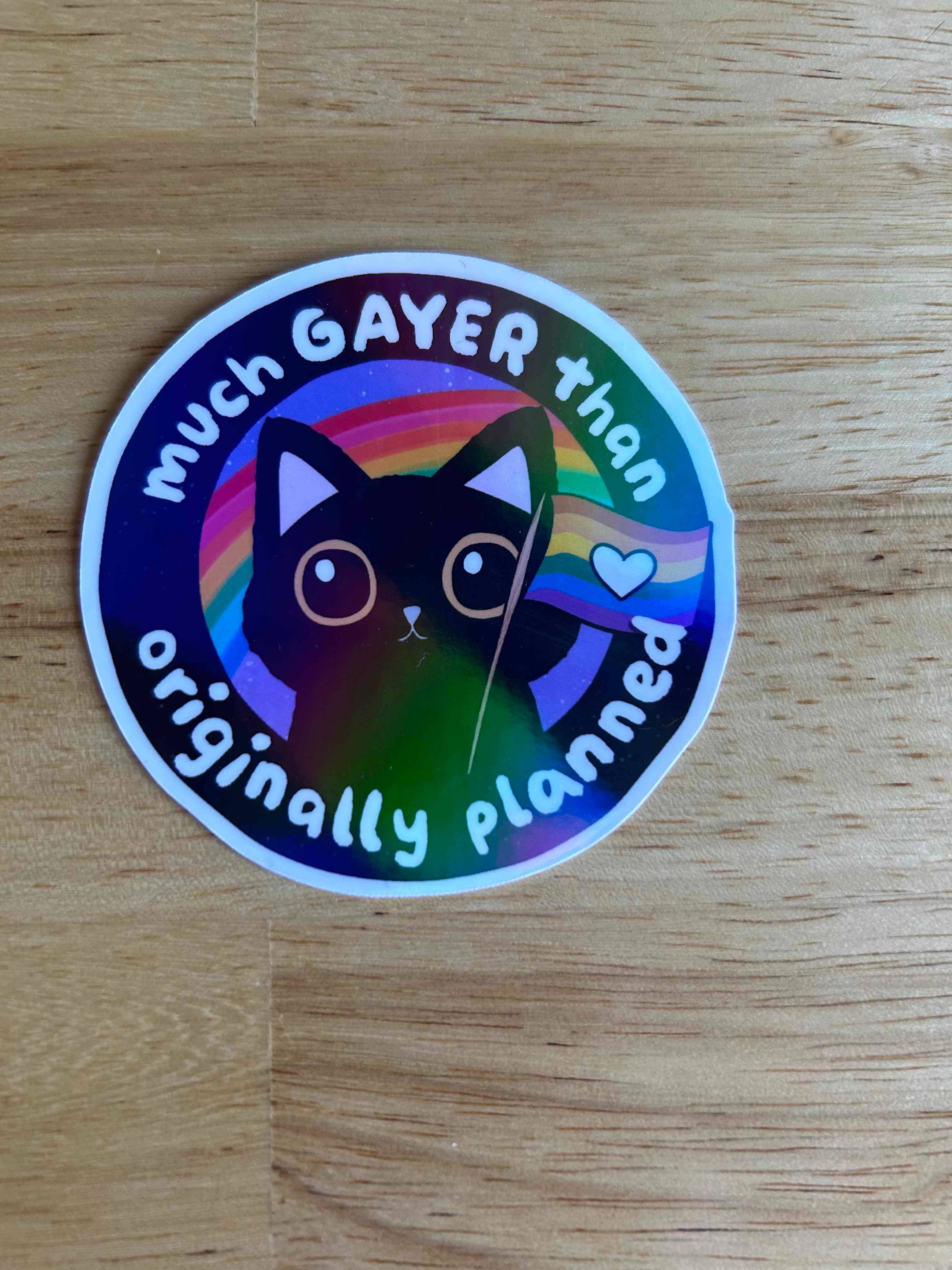 Lemonsgrace Designs – wholesale Sticker – Much Gayer than Originally Planned