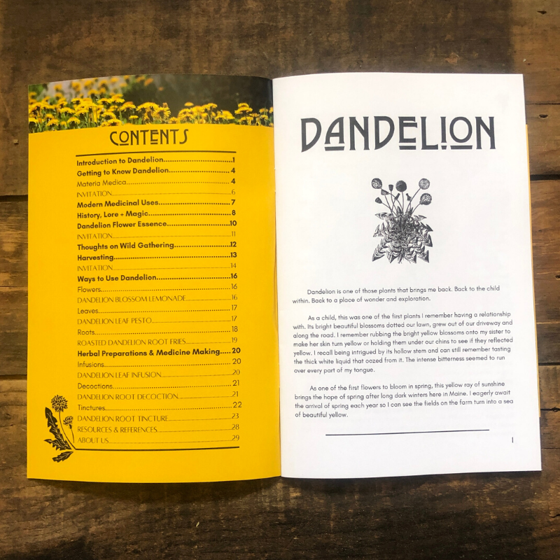 Herbal Revolution Farm + Apothecary - Vendita all'ingrosso Libro su natura e attività all'aria aperta - Zine di erboristeria di Kathi Langelier7