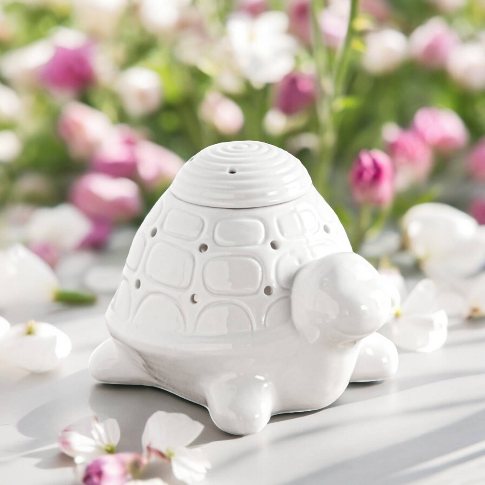 Zen'ArĂ´me - Wholesale Oil Warmer - Franklin the Turtle White Ceramic Incense Burner