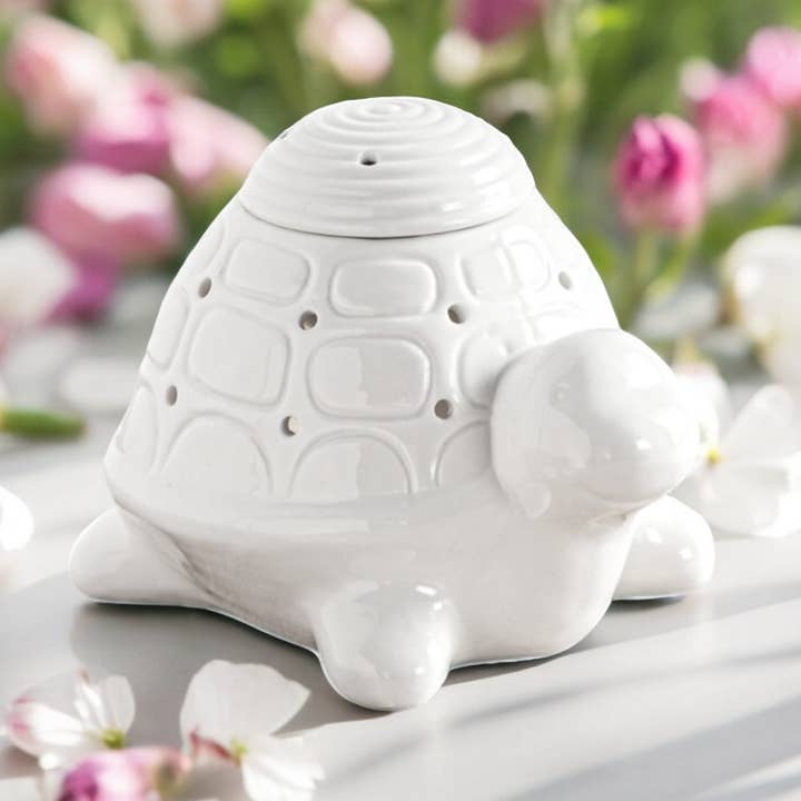 Franklin de schildpad geurbrander in wit keramiek voor wholesale door Zen'Arome