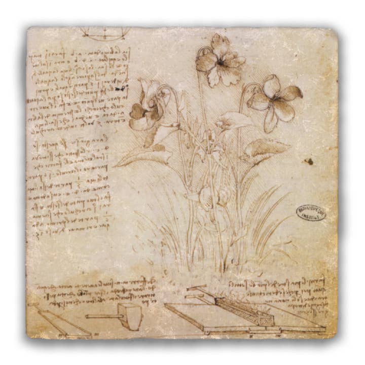 Study of Violets Sketch by Da Vinci Tumbled Stone Coaster for wholesale by Nelson Gifts Wholesale