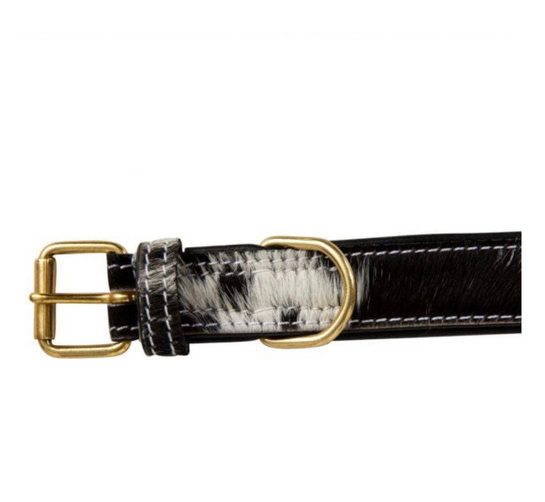 The Sterling Gypsy - Wholesale Pet Collar - Dog - Cowhide and Leather Western Dog Collar Cow Farm Dog Show Dog6