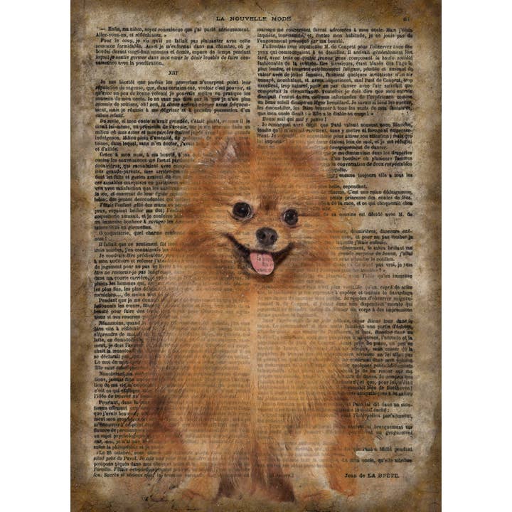 The Shizzle Print Co - Vente Pancarte - Panneau mural en bois de papier vintage de Poméranie 16 x 12 »