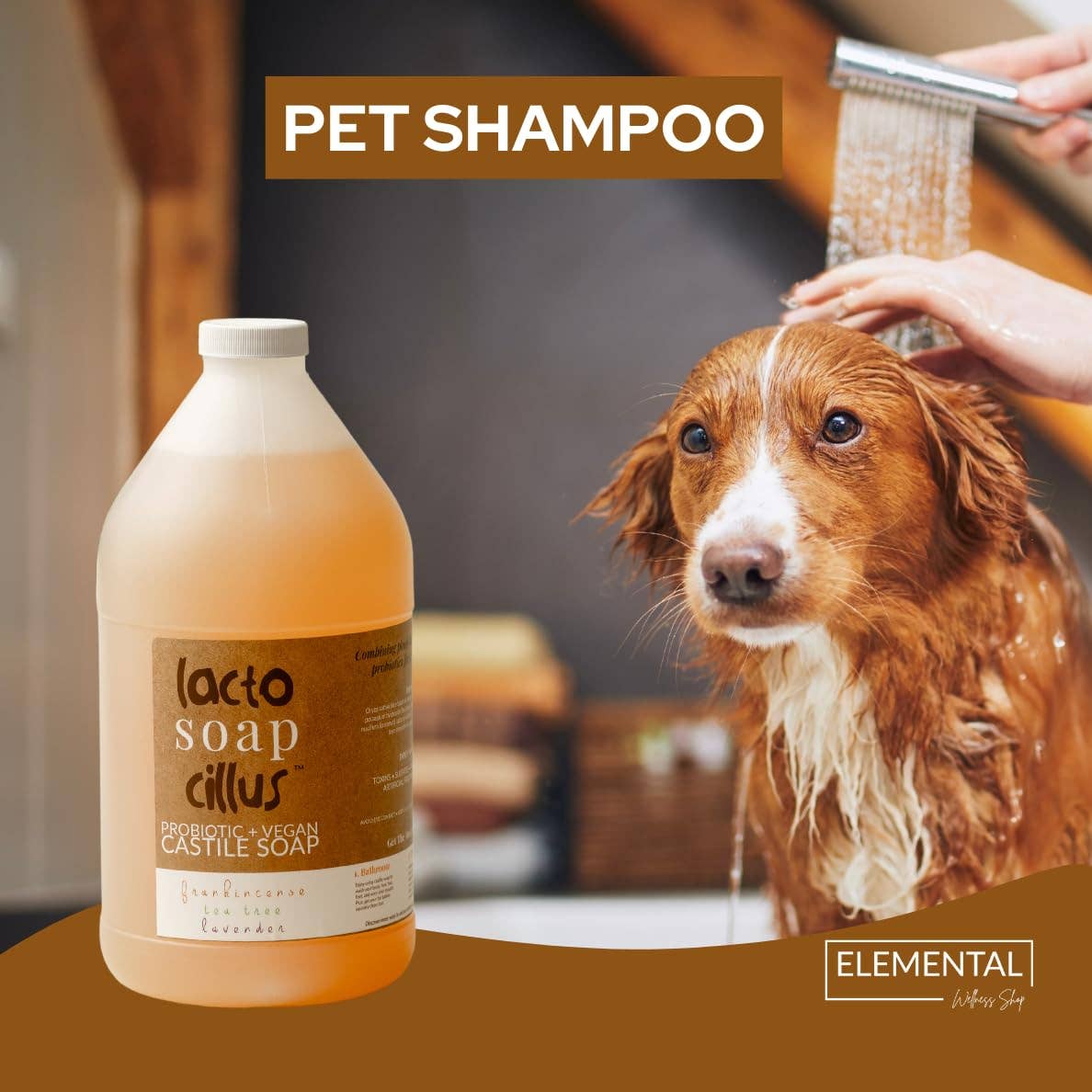 Elemental Wellness | Soap & Toxin-Free Living – wholesale Body wash/shower gel – Frankincense Castile Soap | Bulk Natural Soap (64 oz)3