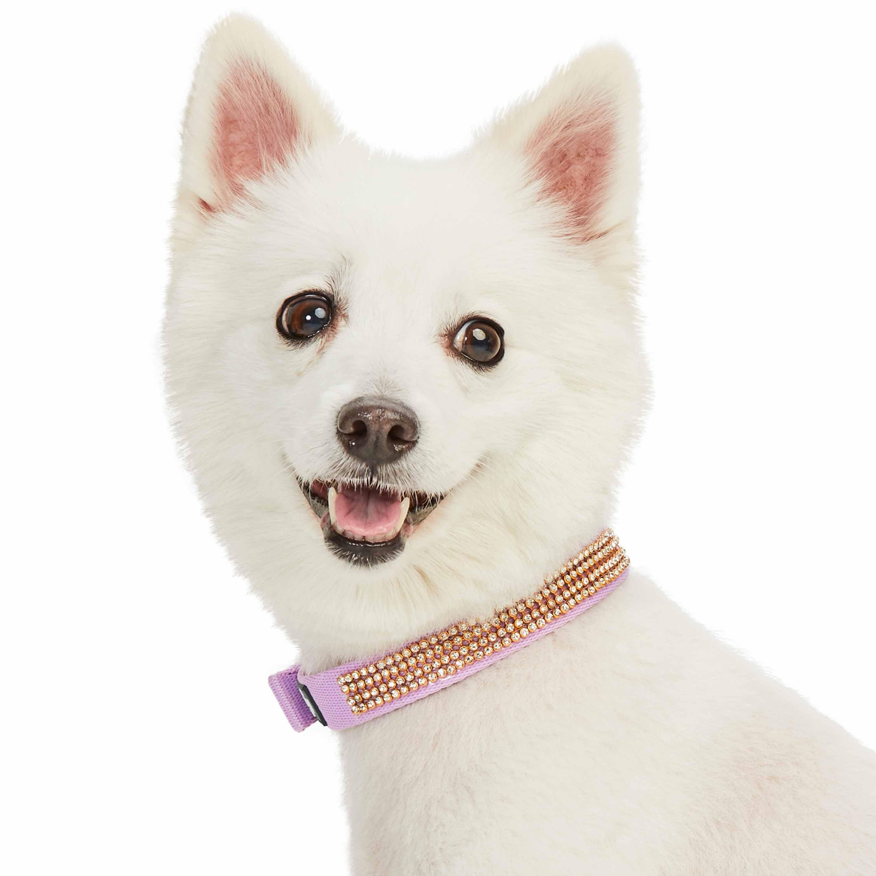 Blueberry Pet - Wholesale Pet Collar - Dog - 4 Colors, Bling Crystal Rhinestone Dog Collars16