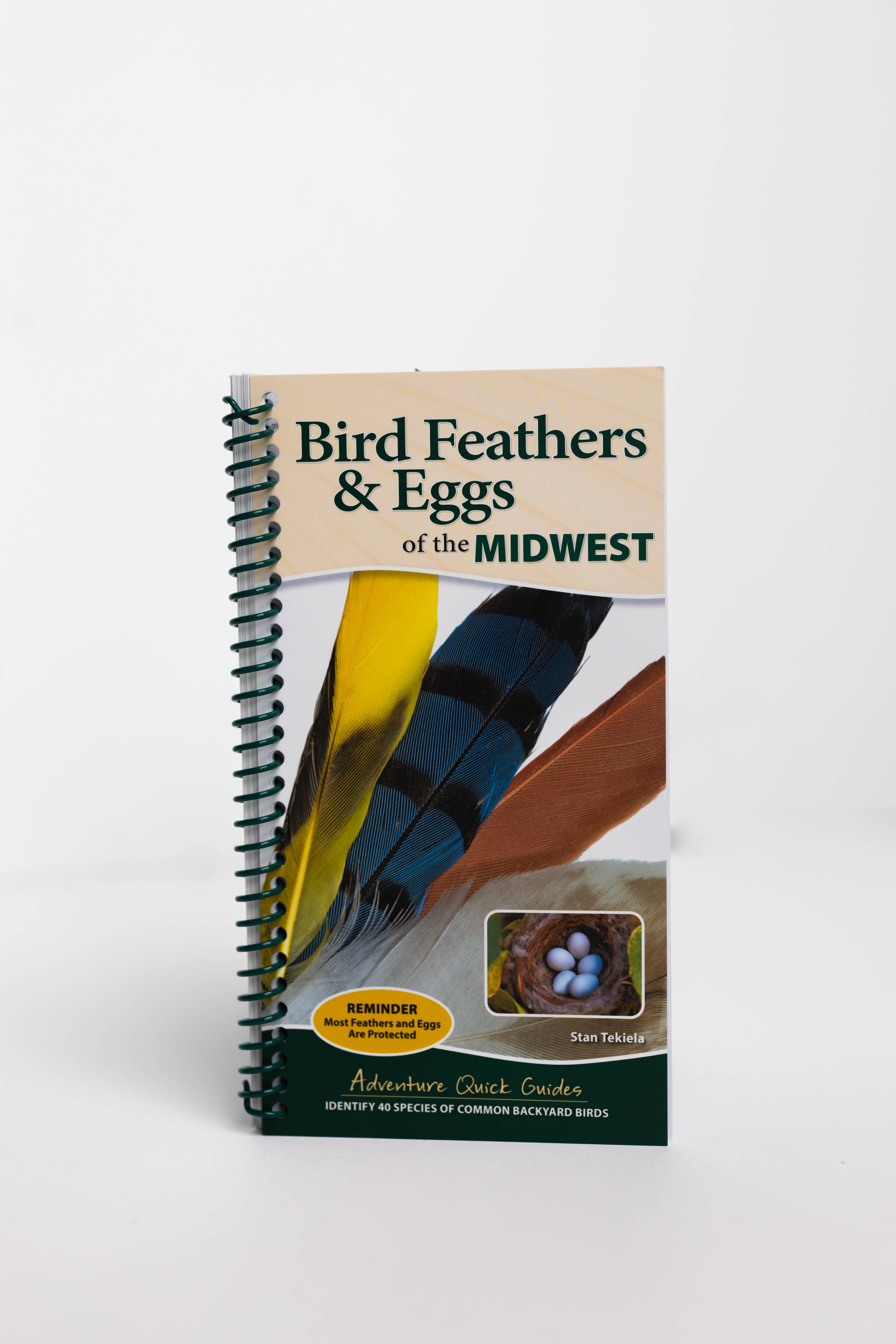 AdventureKEEN - Wholesale Nature & Outdoors - Bird Feathers & Eggs of the Midwest Quick Guide1